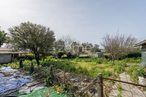 Villa i Viana do Castelo, Viana do Castelo, Viana do Castelo - € 260.000 | Ref: ZMPT586285 - foto 16