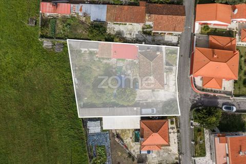 Villa i Viana do Castelo, Viana do Castelo, Viana do Castelo - € 260.000 | Ref: ZMPT586285 - foto 19