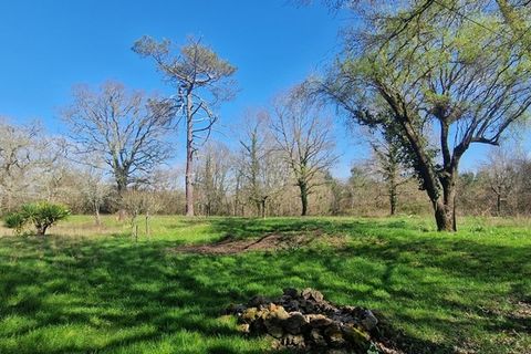 Villa i Escalans, Landes, Escalans - € 163.000 | Ref: 340932139970 - foto 13