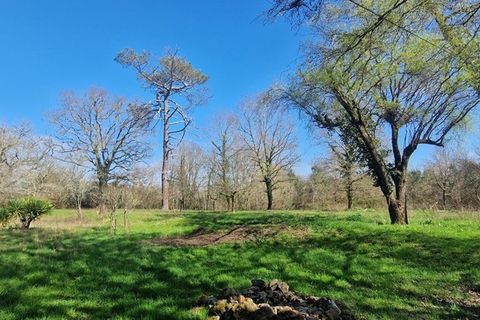 Villa i Escalans, Landes, Escalans - € 163.000 | Ref: 340932139970 - foto 15