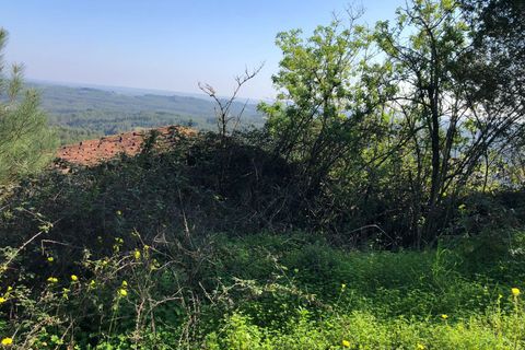 Villa a Rio Maior, Santarem, Rio Maior - € 83.500 | Ref: RVE2981 - foto 13