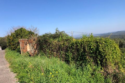 Villa a Rio Maior, Santarem, Rio Maior - € 83.500 | Ref: RVE2981 - foto 10