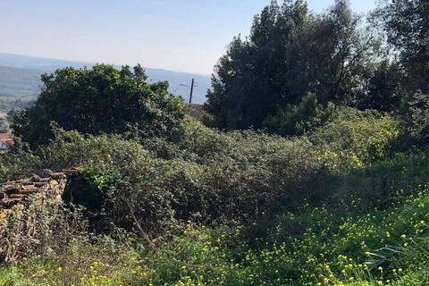 Villa a Rio Maior, Santarem, Rio Maior - € 83.500 | Ref: RVE2981 - foto 14