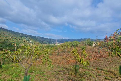Landejendom i Cajiz, Malaga, Cajiz - € 699.000 | Ref: AX1431 - foto 19