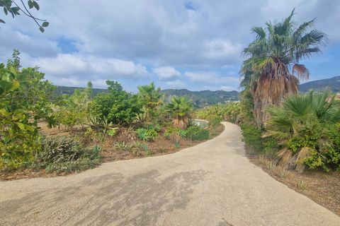 Landejendom i Cajiz, Malaga, Cajiz - € 699.000 | Ref: AX1431 - foto 18