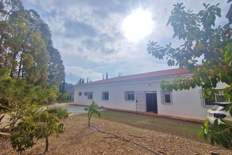 Landejendom i Cajiz, Malaga, Cajiz - € 699.000 | Ref: AX1431 - foto 17