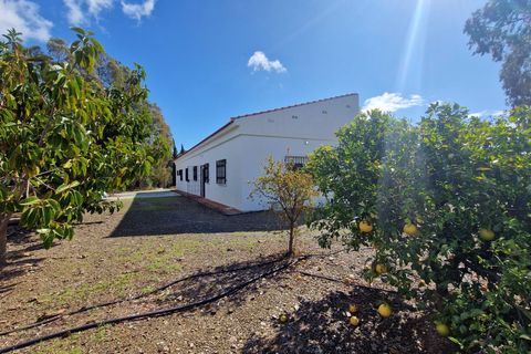 Landejendom i Cajiz, Malaga, Cajiz - € 699.000 | Ref: AX1431 - foto 6