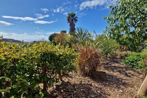 Landejendom i Cajiz, Malaga, Cajiz - € 699.000 | Ref: AX1431 - foto 12
