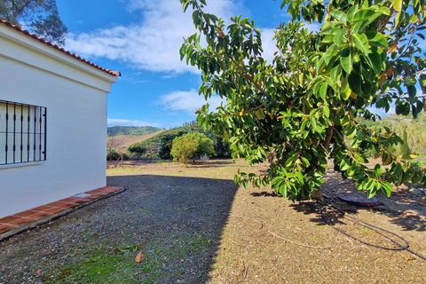 Landejendom i Cajiz, Malaga, Cajiz - € 699.000 | Ref: AX1431 - foto 8
