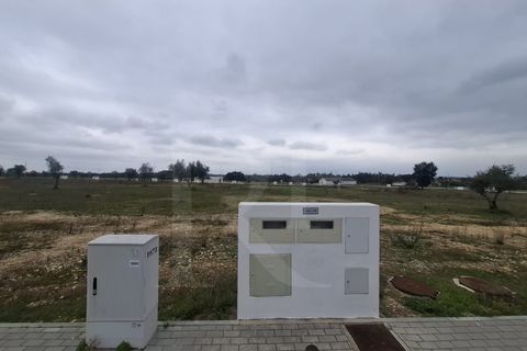 Terra a Montargil, Portalegre, Montargil - € 83.500 | Ref: 1487MB_lote35 - foto 5
