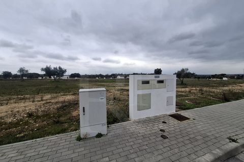 Terra a Montargil, Portalegre, Montargil - € 83.500 | Ref: 1487MB_lote35 - foto 6