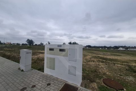 Terra a Montargil, Portalegre, Montargil - € 83.500 | Ref: 1487MB_lote35 - foto 7
