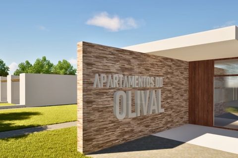 Terra a Montargil, Portalegre, Montargil - € 83.500 | Ref: 1487MB_lote35 - foto 11