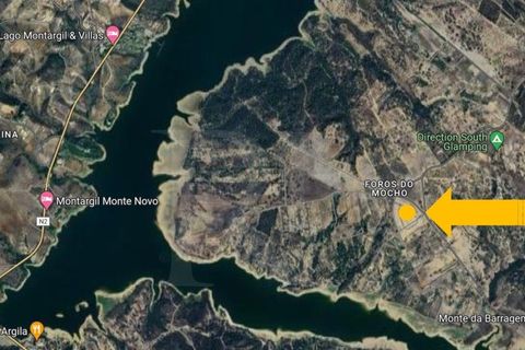 Terra a Montargil, Portalegre, Montargil - € 83.500 | Ref: 1487MB_lote35 - foto 14
