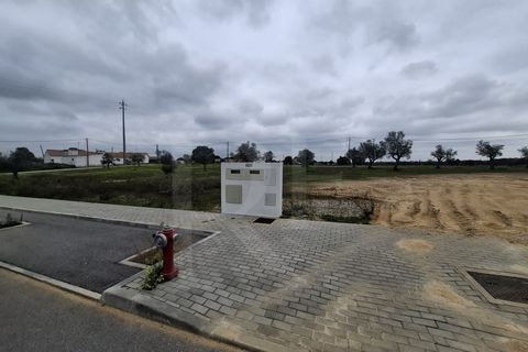 Terra a Montargil, Portalegre, Montargil - € 115.100 | Ref: 1487MB_lote2 - foto 6