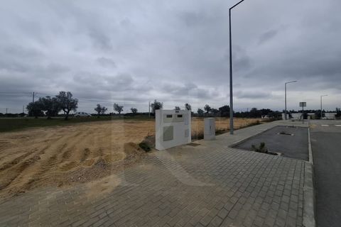 Terra a Montargil, Portalegre, Montargil - € 115.100 | Ref: 1487MB_lote2 - foto 7