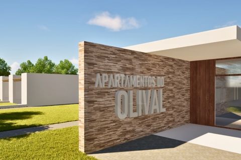 Terra a Montargil, Portalegre, Montargil - € 115.100 | Ref: 1487MB_lote2 - foto 10