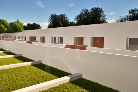 Terra a Montargil, Portalegre, Montargil - € 115.100 | Ref: 1487MB_lote2 - foto 11
