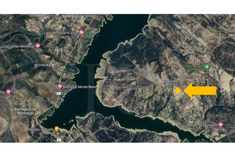 Terra a Montargil, Portalegre, Montargil - € 115.100 | Ref: 1487MB_lote2 - foto 13