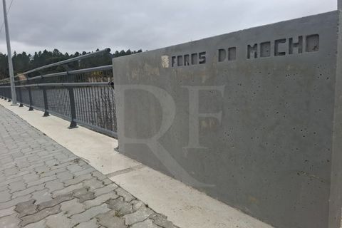 Terra a Montargil, Portalegre, Montargil - € 115.100 | Ref: 1487MB_lote2 - foto 14