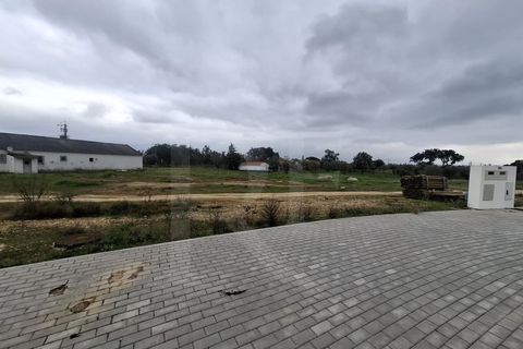 Terra a Montargil, Portalegre, Montargil - € 600.000 | Ref: 1487MB_APARTHOTEL - foto 12