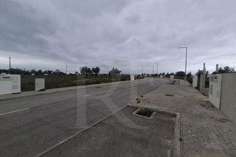 Terra a Montargil, Portalegre, Montargil - € 600.000 | Ref: 1487MB_APARTHOTEL - foto 13