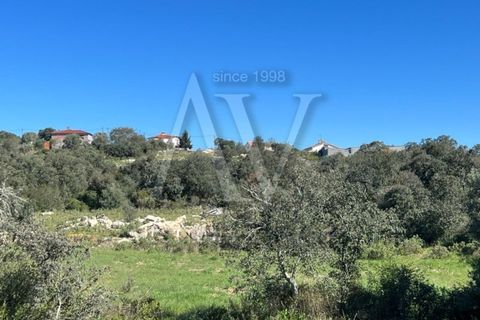 Helårsgrund i Ourem, Santarem, Ourem - € 156.527 | Ref: AV693_V1 - foto 5