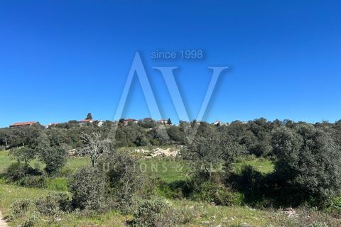 Helårsgrund i Ourem, Santarem, Ourem - € 156.527 | Ref: AV693_V1 - foto 8