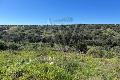 Helårsgrund i Ourem, Santarem, Ourem - € 156.527 | Ref: AV693_V1 - foto 12