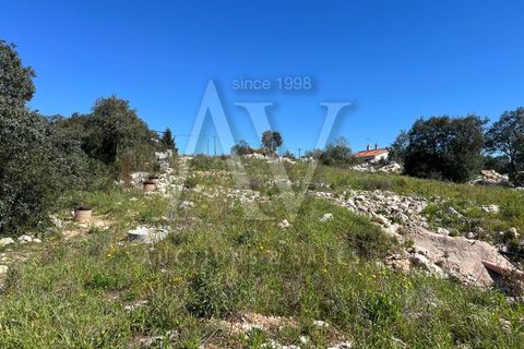 Helårsgrund i Ourem, Santarem, Ourem - € 156.527 | Ref: AV693_V1 - foto 14