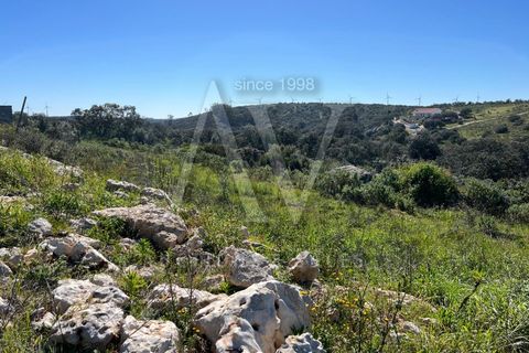 Helårsgrund i Ourem, Santarem, Ourem - € 156.527 | Ref: AV693_V1 - foto 15