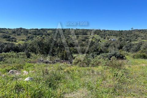 Helårsgrund i Ourem, Santarem, Ourem - € 156.527 | Ref: AV693_V1 - foto 17