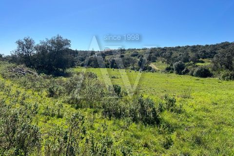 Helårsgrund i Ourem, Santarem, Ourem - € 156.527 | Ref: AV693_V1 - foto 18