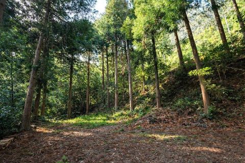 Byhus i Sao Vincente, Madeira, Sao Vincente - € 370.000 | Ref: 9010 - foto 16