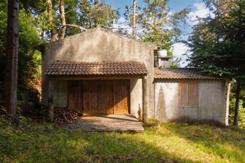 Byhus i Sao Vincente, Madeira, Sao Vincente - € 370.000 | Ref: 9010 - foto 20