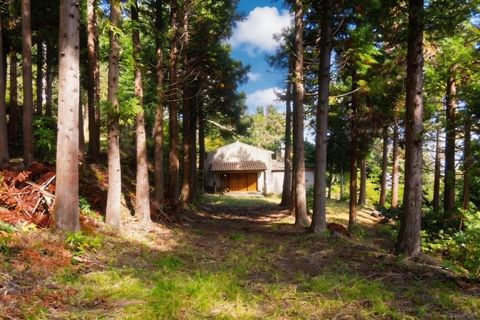 Byhus i Sao Vincente, Madeira, Sao Vincente - € 370.000 | Ref: 9010 - foto 21