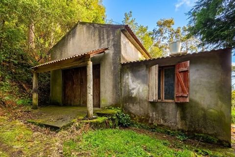 Byhus i Sao Vincente, Madeira, Sao Vincente - € 370.000 | Ref: 9010 - foto 22