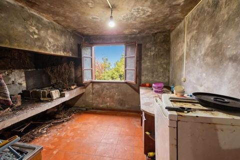 Byhus i Sao Vincente, Madeira, Sao Vincente - € 370.000 | Ref: 9010 - foto 24