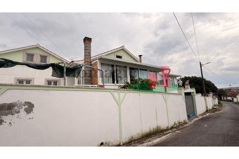 Villa i Rio Maior, Santarem, Rio Maior - € 350.000 | Ref: 96.26 - foto 49