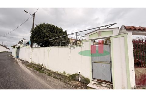 Villa i Rio Maior, Santarem, Rio Maior - € 350.000 | Ref: 96.26 - foto 50