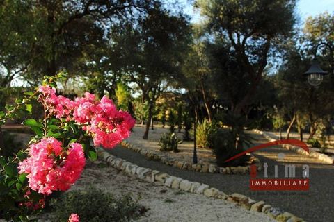 Villa i Siracusa, Siracusa, Siracusa - € 800.000 | Ref: 3181 - foto 14