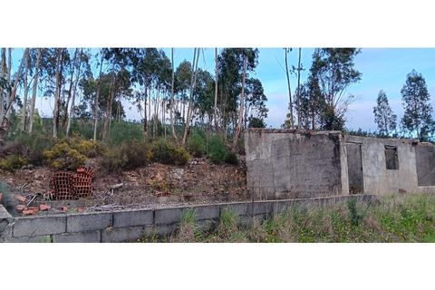 Helårsgrund i Macao, Santarem, Macao - € 15.000 | Ref: SÒL_389 - foto 2