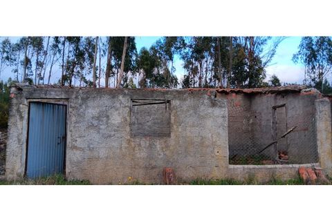 Helårsgrund i Macao, Santarem, Macao - € 15.000 | Ref: SÒL_389 - foto 3