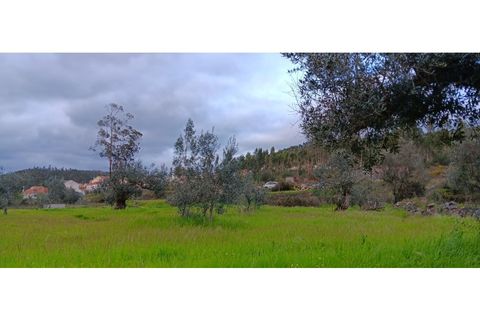 Helårsgrund i Macao, Santarem, Macao - € 15.000 | Ref: SÒL_389 - foto 6
