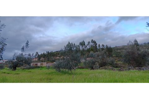 Helårsgrund i Macao, Santarem, Macao - € 15.000 | Ref: SÒL_389 - foto 7