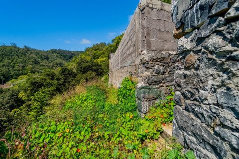 Villa a Machico, Madeira, Machico - € 200.000 | Ref: RHG26013 - foto 16