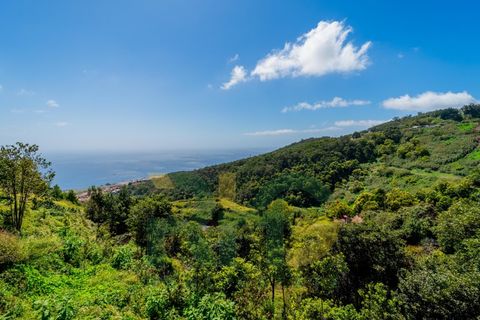 Villa a Machico, Madeira, Machico - € 200.000 | Ref: RHG26013 - foto 18