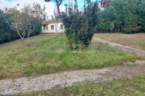 Lejlighed i Carcavelos, Lisbon, Carcavelos - € 2.650.000 | Ref: PROP-34228 - foto 15