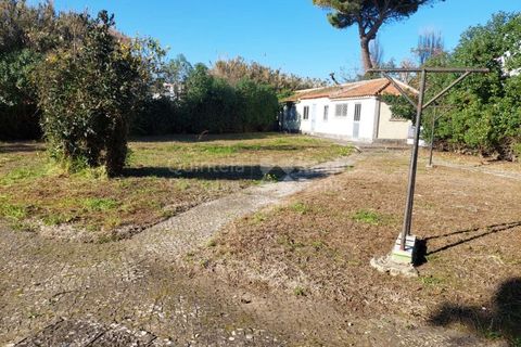 Lejlighed i Carcavelos, Lisbon, Carcavelos - € 2.650.000 | Ref: PROP-34228 - foto 16
