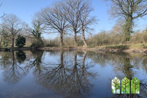 Rækkehus i Chassignolles, Indre, Chassignolles - € 55.000 | Ref: PH1274-ATTEGIA - foto 10